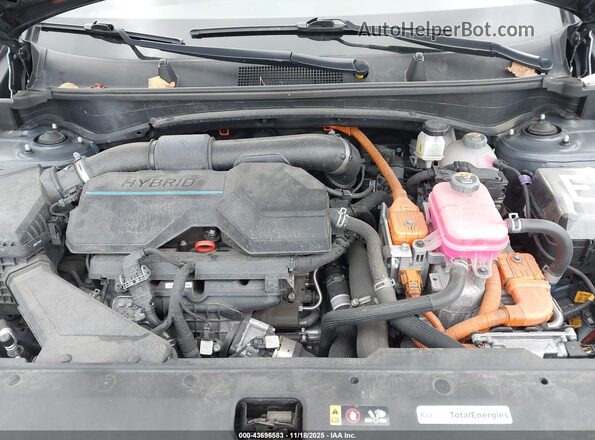 KNDPVCAG2P7042636 2023 KIA SPORTAGE HYBRID Gray Vista trasera