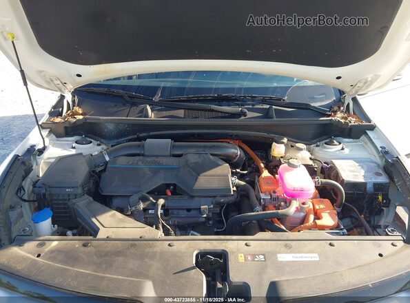 KNDPVCAG2P7102995 2023 KIA SPORTAGE HYBRID White Հետևի տեսք