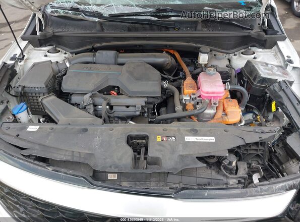 KNDPVCAG7P7026268 2023 KIA SPORTAGE HYBRID White უკანა ხედი