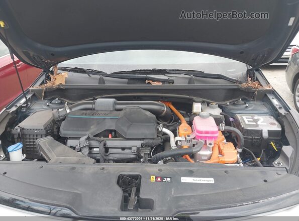 KNDPVCDG7R7155612 2024 KIA SPORTAGE HYBRID Dark Blue Vista trasera