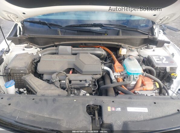 KNDPYDDH2R7145754 2024 KIA SPORTAGE PLUG-IN HYBRID White Вид ззаду