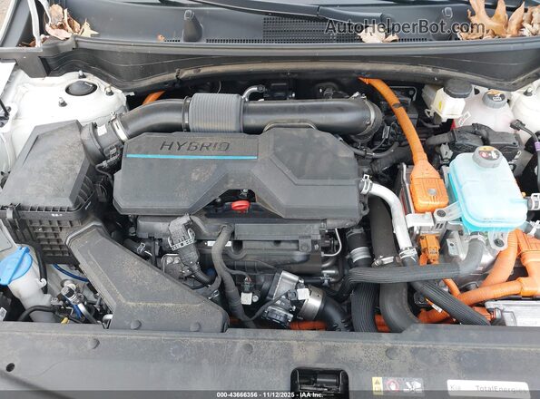 KNDPYDDH6R7146518 2024 KIA SPORTAGE PLUG-IN HYBRID White Widok z tyłu