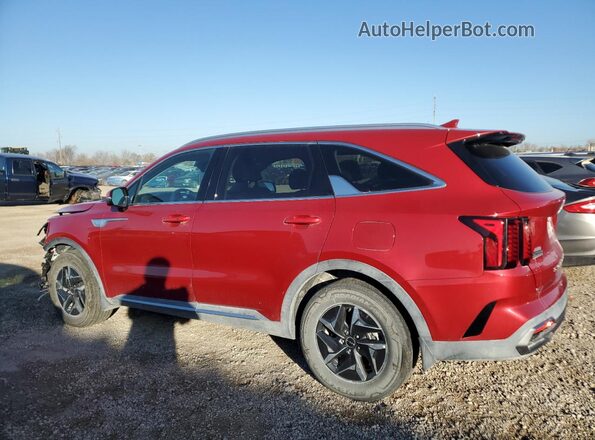 KNDRGDLG8N5107925 2022 KIA SORENTO Red Հետևի ձախ