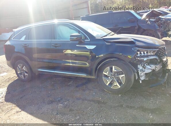 KNDRH4LG4M5033561 2021 KIA SORENTO Черный 