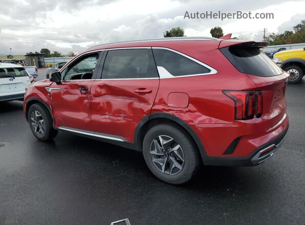 KNDRH4LG2M5033056 2021 KIA SORENTO Красный Задняя левая четверть