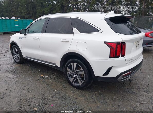 KNDRHDLG1R5235488 2024 KIA SORENTO HYBRID White Հետևի ձախ