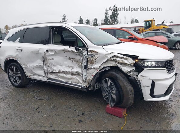 KNDRHDLG1R5235488 2024 KIA SORENTO HYBRID White Դիմացի տեսք