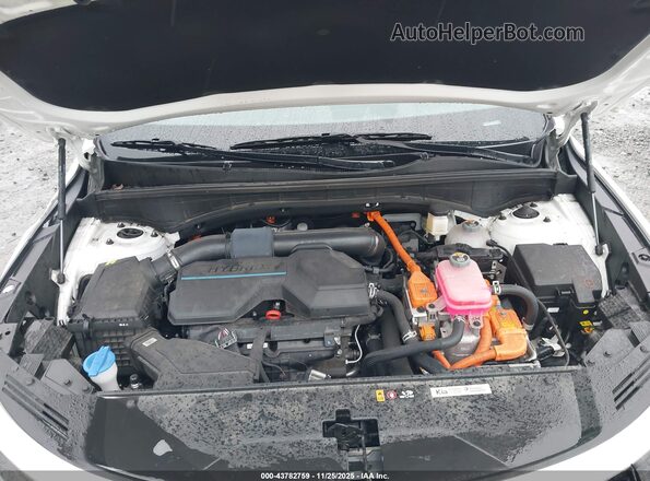 KNDRHDLG1R5235488 2024 KIA SORENTO HYBRID White Հետևի տեսք