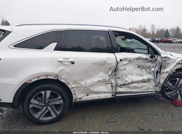 KNDRHDLG1R5235488 2024 KIA SORENTO HYBRID White Սալոնի հետևի տեսք