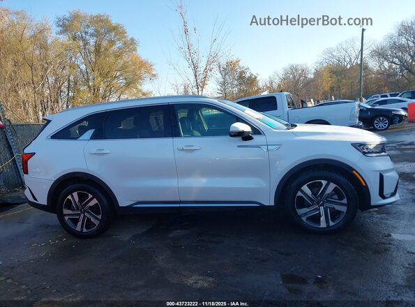 KNDRHDLG6P5149509 2023 KIA SORENTO HYBRID Белый Вид задней части салона