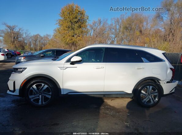 KNDRHDLG6P5149509 2023 KIA SORENTO HYBRID Белый Панорамный вид салона 360°