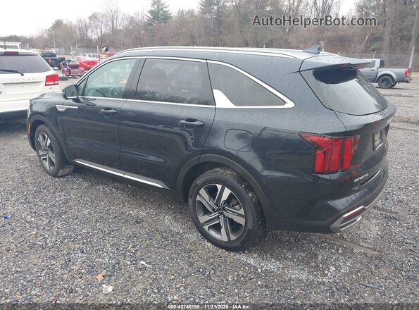 KNDRKDLG8P5227077 2023 KIA SORENTO HYBRID Dark Blue Tył lewy