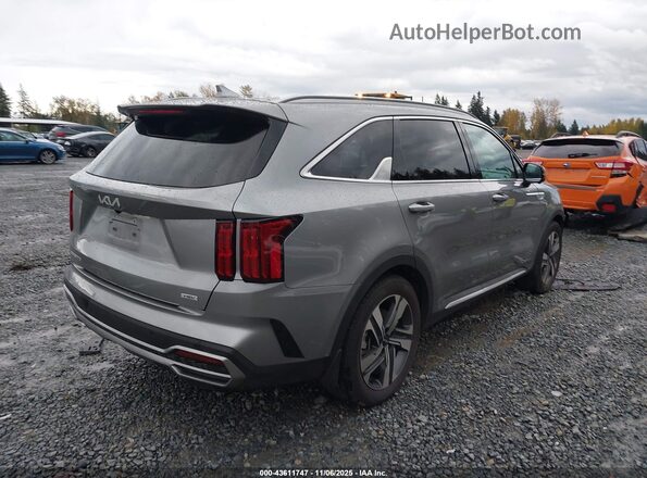 KNDRKDLG9P5170937 2023 KIA SORENTO HYBRID Gray Tył prawy