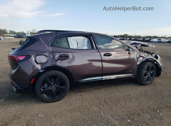 LRBFZPE45RD070649 2024 BUICK ENVISION Purple 
