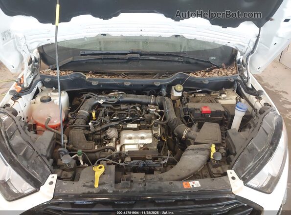 MAJ3S2FE9MC448009 2021 FORD ECOSPORT White Widok z tyłu