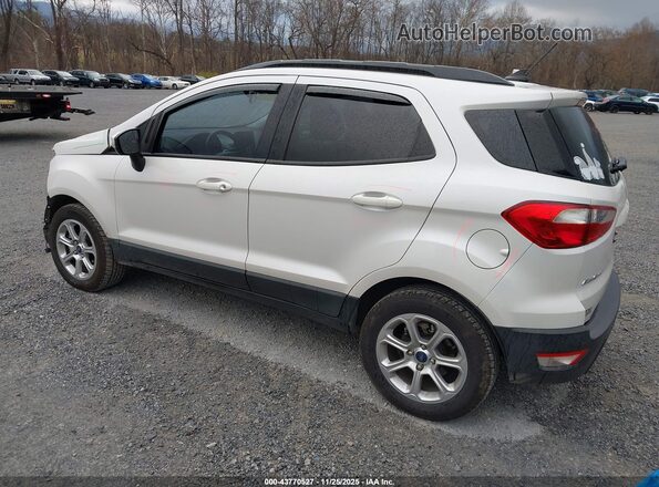 MAJ3S2GE8LC335598 2020 FORD ECOSPORT White უკანა მარცხენა