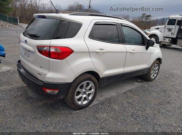 MAJ3S2GE8LC335598 2020 FORD ECOSPORT White უკანა მარჯვენა