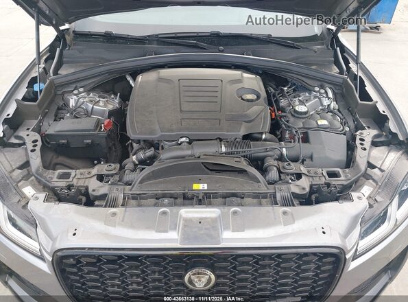 SADCT2EXXRA720617 2024 JAGUAR F-PACE Gray უკანა ხედი