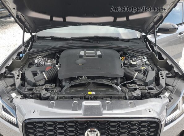 SADCT2FU2RA722446 2024 JAGUAR F-PACE Gray უკანა სალონის ხედი