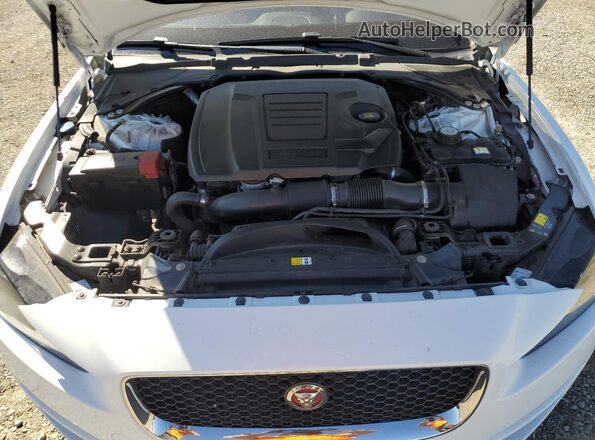 SAJAR4FX1KCP52699 2019 JAGUAR XF White 