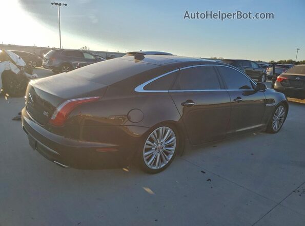 SAJWJ2GD3G8V99663 2016 JAGUAR XJL Purple Հետևի աջ