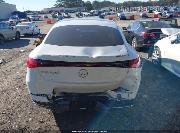 W1KCG2DB5PA036082 2023 MERCEDES-BENZ EQS 450+ White 