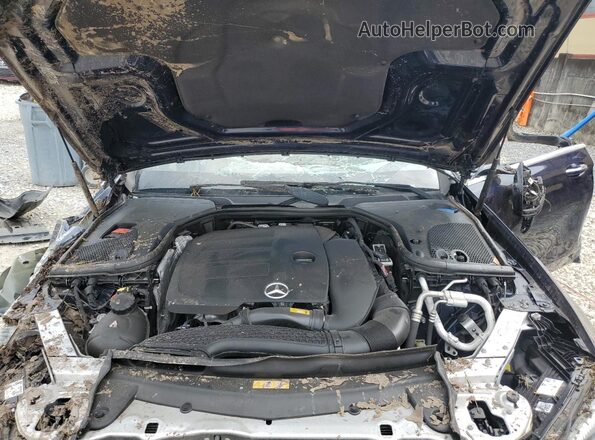 W1KZF8DB6MA971901 2021 MERCEDES-BENZ E Blue Vista interior trasera