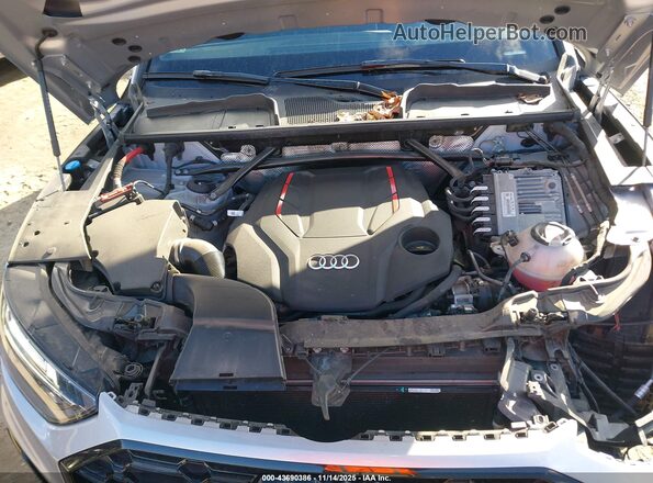 WA124AFY4P2013343 2023 AUDI SQ5 Silver უკანა ხედი