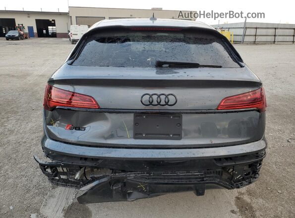 WA124AFY8S2056611 2025 AUDI SQ5 Gray Widok z tyłu