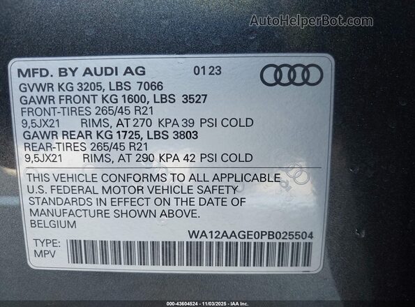 WA12AAGE0PB025504 2023 AUDI E-TRON Серый Вид подкапотного пространства