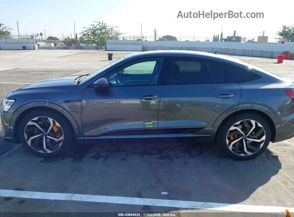 WA12AAGE0PB025504 2023 AUDI E-TRON Серый Панорамный вид салона 360°