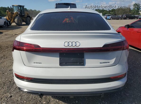 WA12AAGE6MB003342 2021 AUDI E-TRON Белый Вид сзади