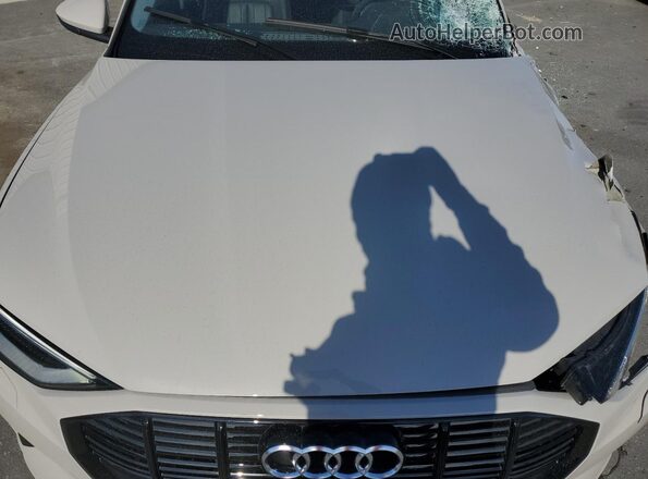 WA1AAAGE6NB012037 2022 AUDI E-TRON Белый Вид подкапотного пространства
