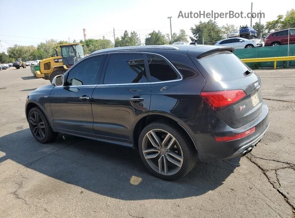 WA1CCAFP0GA031455 2016 AUDI SQ5 Black უკანა მარცხენა