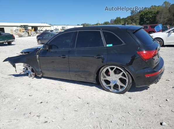 WA1CCAFP9GA009227 2016 AUDI SQ5 Black Հետևի ձախ