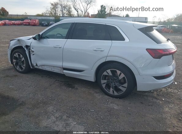 WA1LAAGE6MB022462 2021 AUDI E-TRON White Հետևի ձախ