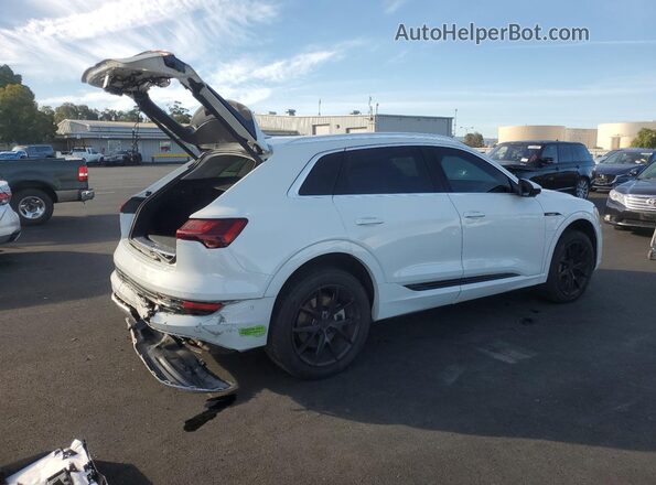 WA1LAAGE9KB023862 2019 AUDI E-TRON White უკანა მარჯვენა