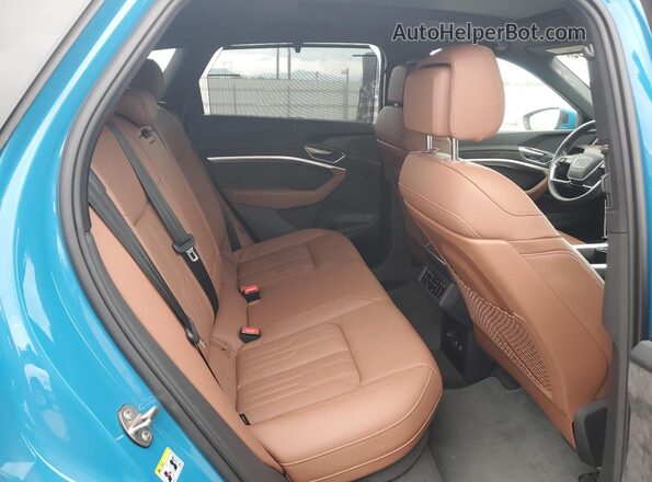 WA1VABGE1KB016001 2019 AUDI E-TRON Синий Вид задней части салона