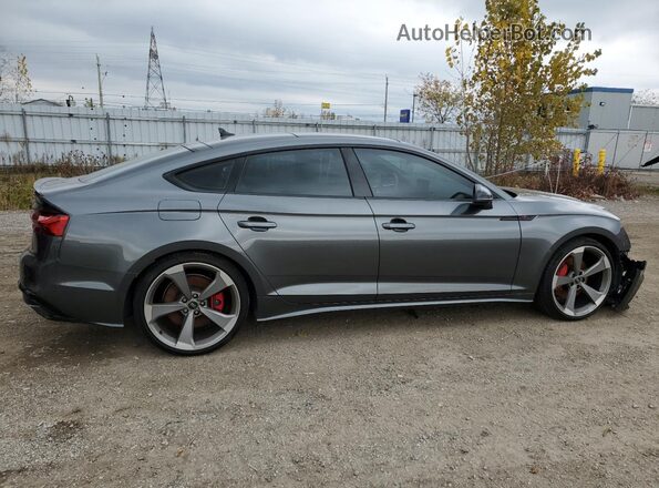 WAUEACF59RA059429 2024 AUDI OTHER Gray უკანა მარჯვენა