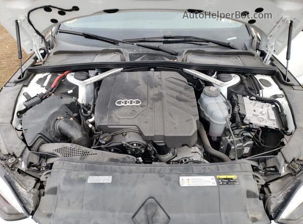 WAUFACF55RA019577 2024 AUDI OTHER Белый 