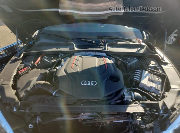 WAUW4GF51RN000239 2024 AUDI S5 Серый Вид задней части салона