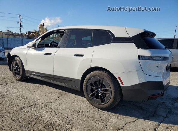 WB523CF01RCN65292 2024 BMW IX Белый 