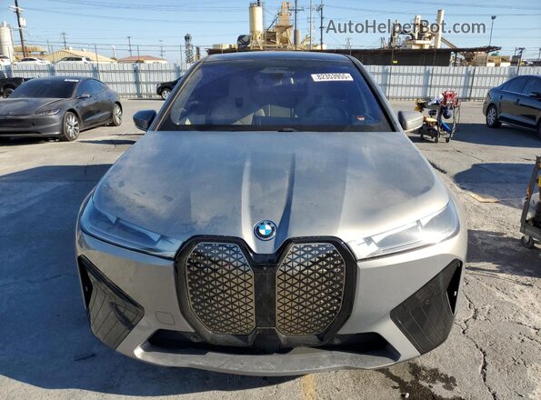 WB523CF03RCR16574 2024 BMW IX Gray წინა ხედი