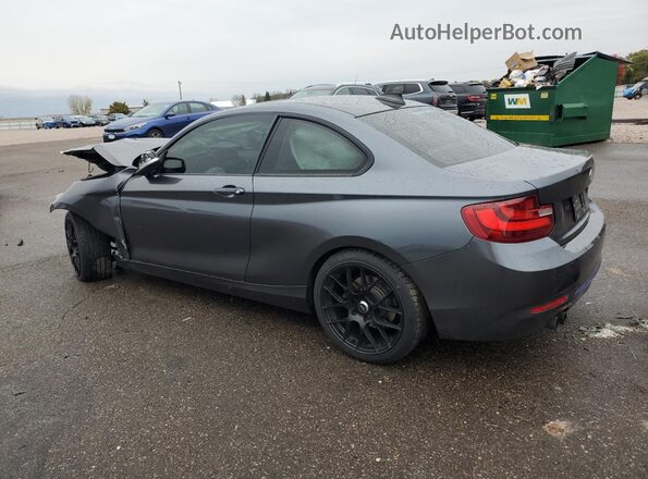 WBA1G9C55GV599693 2016 BMW 2 SERIES Charcoal Trasero izquierdo