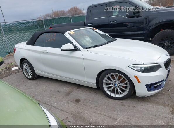 WBA1L9C53GV325128 2016 BMW 2 SERIES Белый Панорамный вид салона 360°