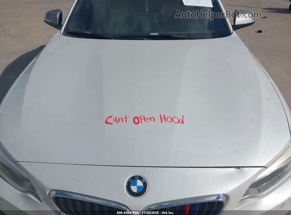 WBA1M1C50GV394468 2016 BMW M2 White Вид ззаду