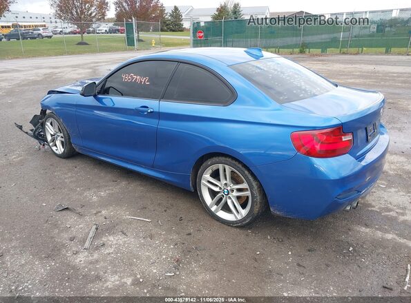 WBA2F9C33HV665021 2017 BMW 2 SERIES Blue Rear left