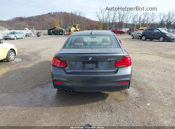 WBA2J1C05L7E46857 2020 BMW 2 SERIES Gray 