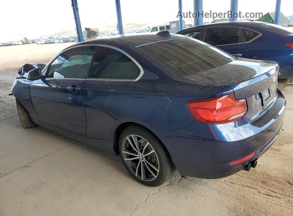 WBA2J1C52KVD10157 2019 BMW 2 SERIES Blue Tył lewy