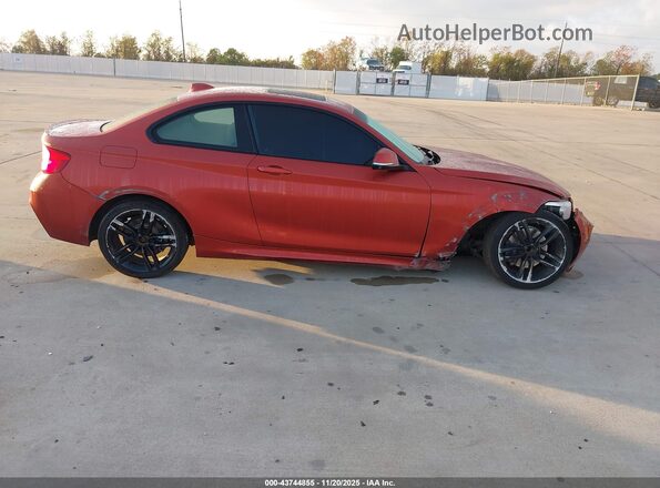 WBA2J1C5XJVD09563 2018 BMW 2 SERIES Оранжевый Вид задней части салона
